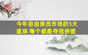 今年自由球员市场的5大遗珠 每个都是夺冠拼图